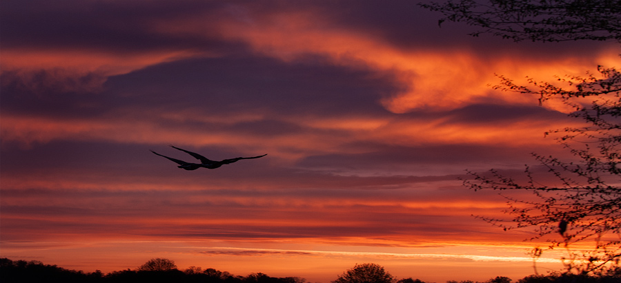 louisville-sunrise